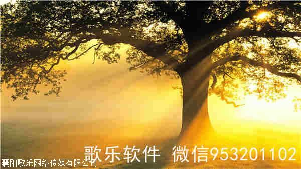 抖音-视频md5文件怎么查看