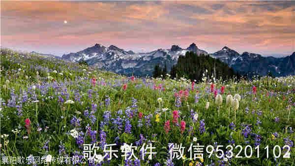 抖音-视频md5文件怎么查看