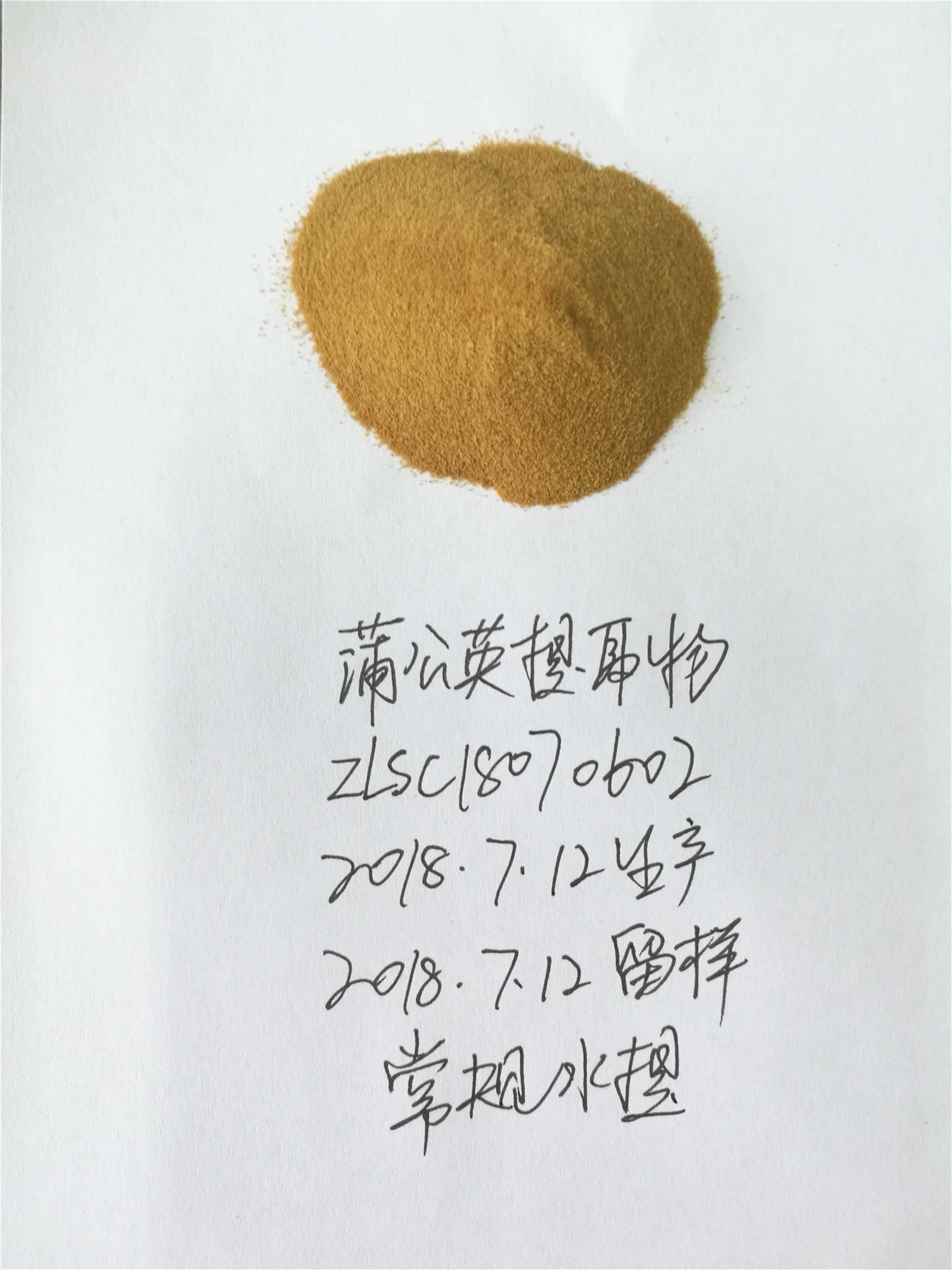 蒲公英提取物-药食同源植物提取物供应商