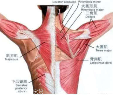 1.肩胛骨上角压痛点