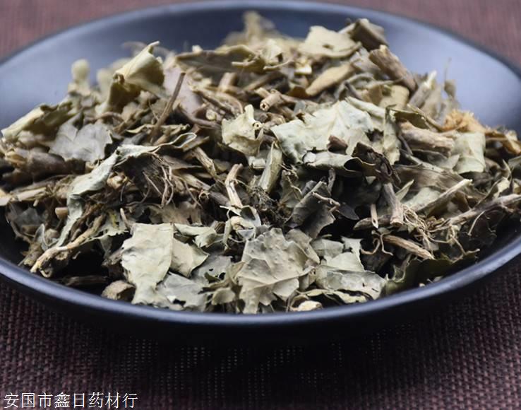 新闻大观哪里有卖抱石莲多少钱一斤