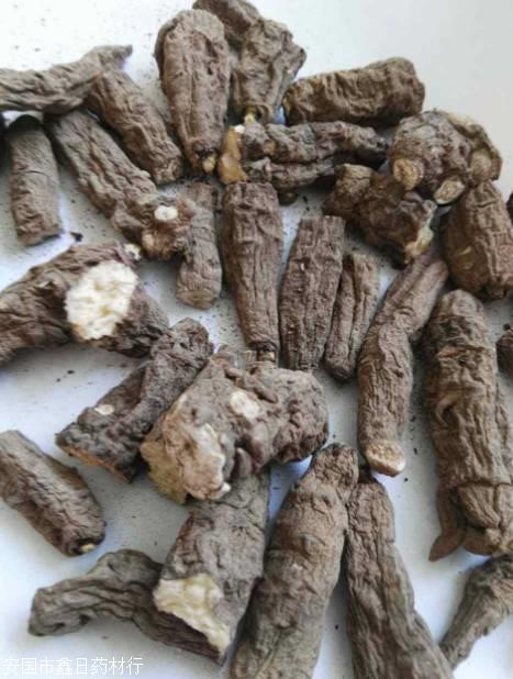 新闻大观哪里有卖抱石莲多少钱一斤