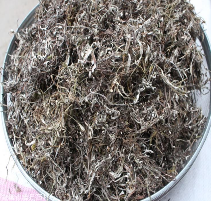 新闻大观哪里有卖抱石莲多少钱一斤