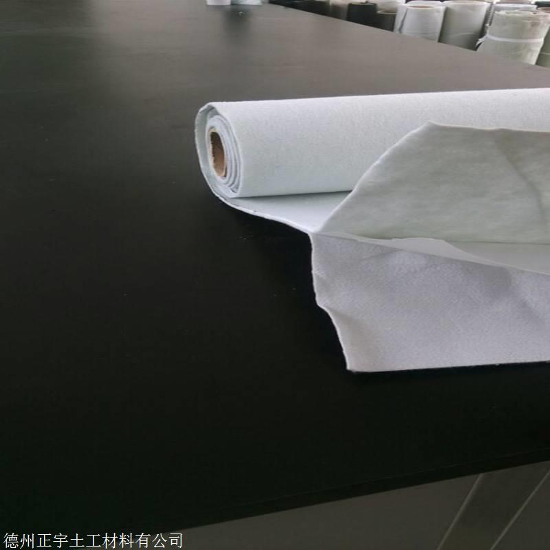 山东长丝无纺复合土工膜质量1000g/m2厂家