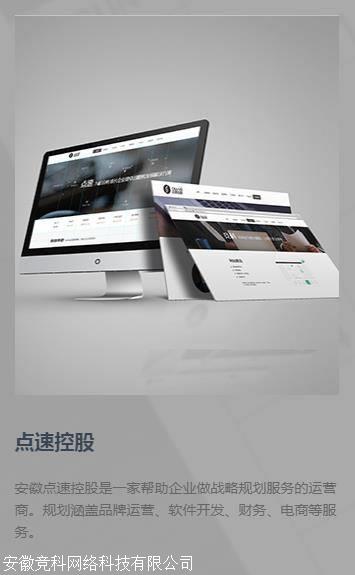 网站开发/网站建设 - 竞科网络