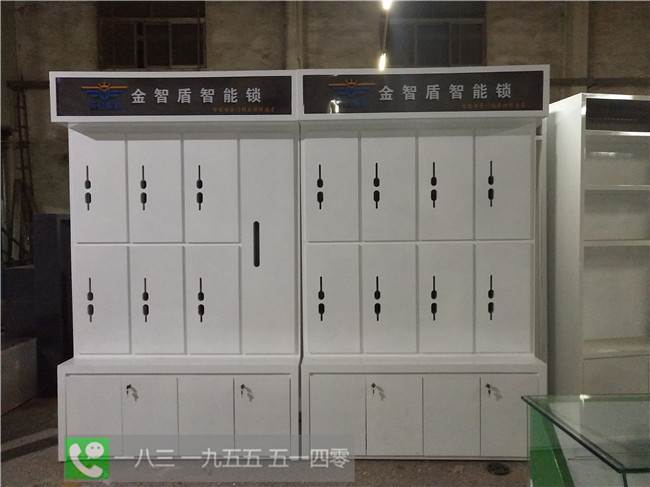 大华朗瑞特新市德施曼智能指纹锁展柜密度板烤漆