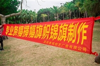 深圳南山西丽蛇口广告条幅标语旗帜锦旗制作，加急当天出货
