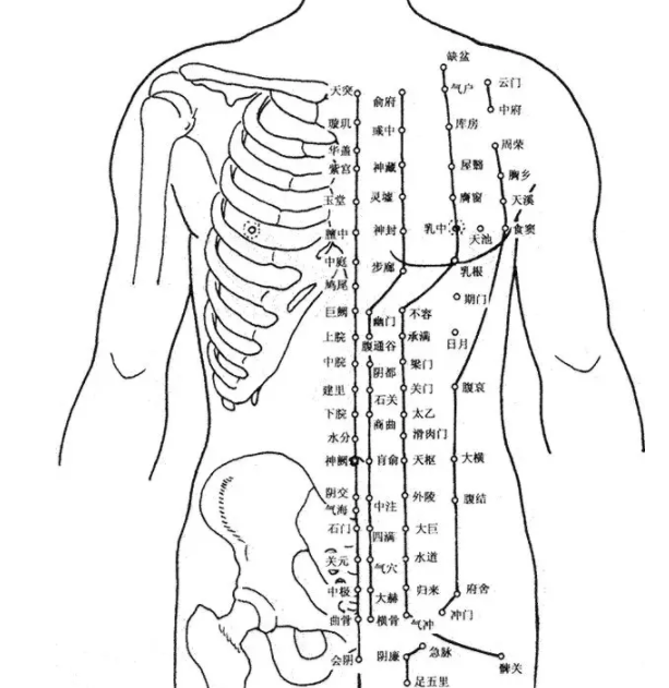 新闻资讯 人体经络穴位功能介绍大全   腹(气海),腰(肾俞),患部   ⑽