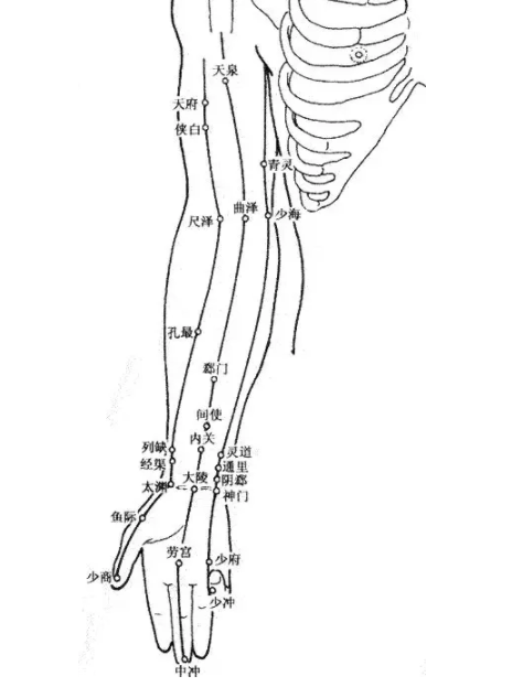 人体经络穴位功能介绍大全