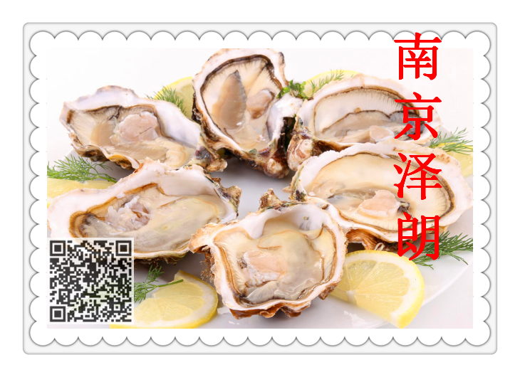 河南牡蛎提取物供应商库存现货