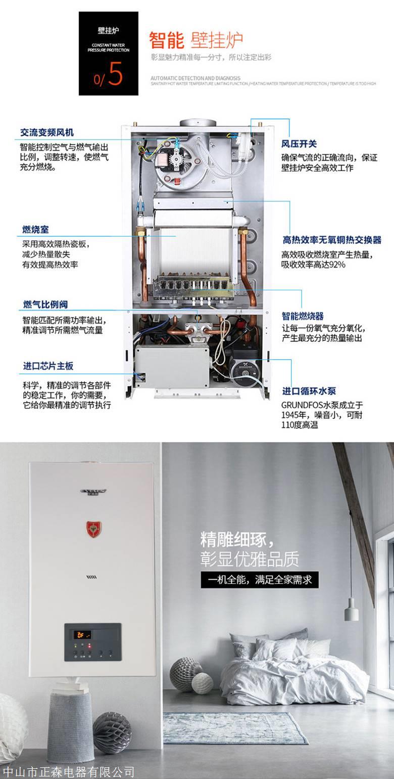 德国艾瑞森l1pb-20燃气壁挂炉带110平米取暖壁挂炉