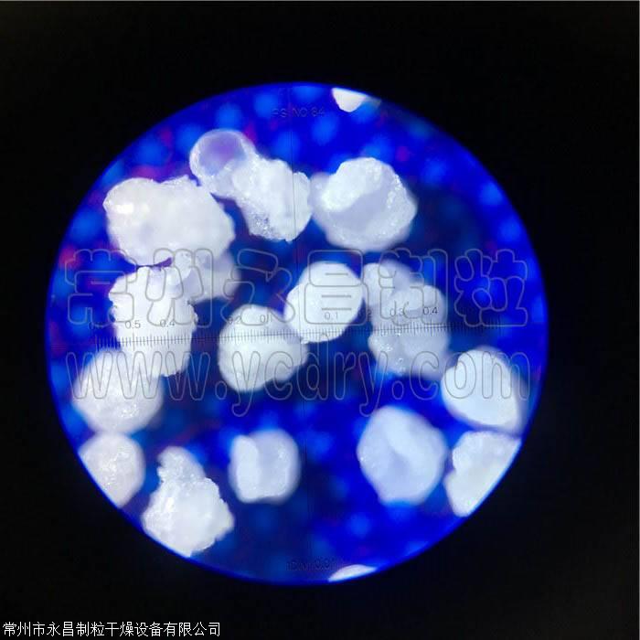 甘露醇造粒机 甘露醇颗粒雷竞技App下载机 甘露醇喷雾干燥塔-雷竞技官网手机版雷竞技App下载
