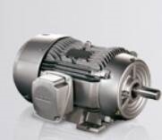 西门子低压电机技术细节?SIMOTICS GP 1LE0?