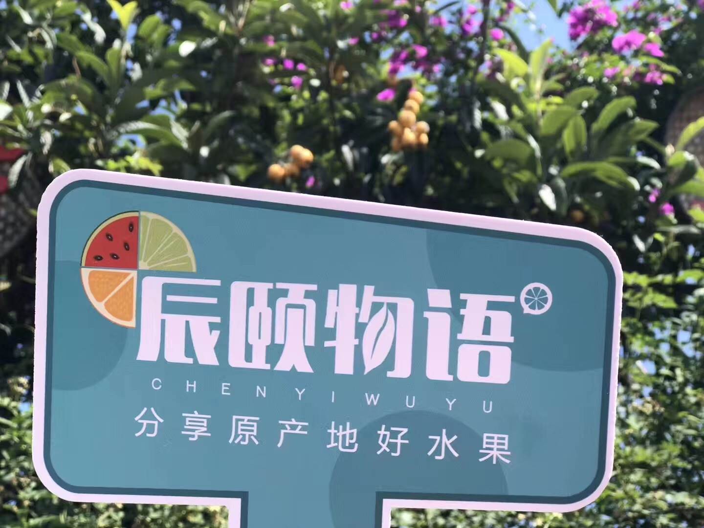 辰颐物语团队#坚持生鲜 不忘初心# 团队遵旨
