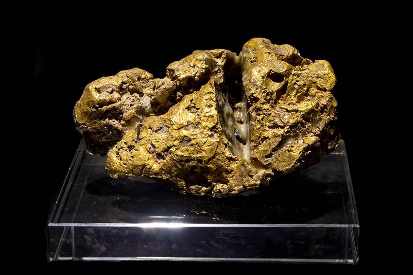 狗头金是什么(狗头金是什么酒)