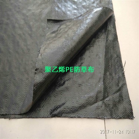 四川PE防草布厂家,四川PE地布寿命5年以上