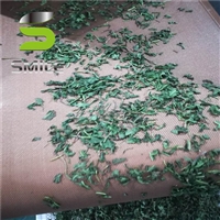 連續(xù)式茶葉微波殺青設(shè)備 小型蒲公英殺青機 桑葉微波殺青干燥設(shè)備