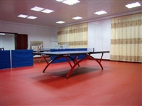塑料地板乒乓球地板胶