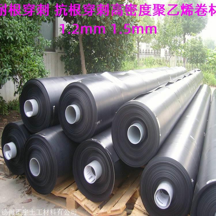 高密度聚乙烯耐根穿刺1.2厚土工膜厂家，1.5mm阻根刺HDPE膜批发