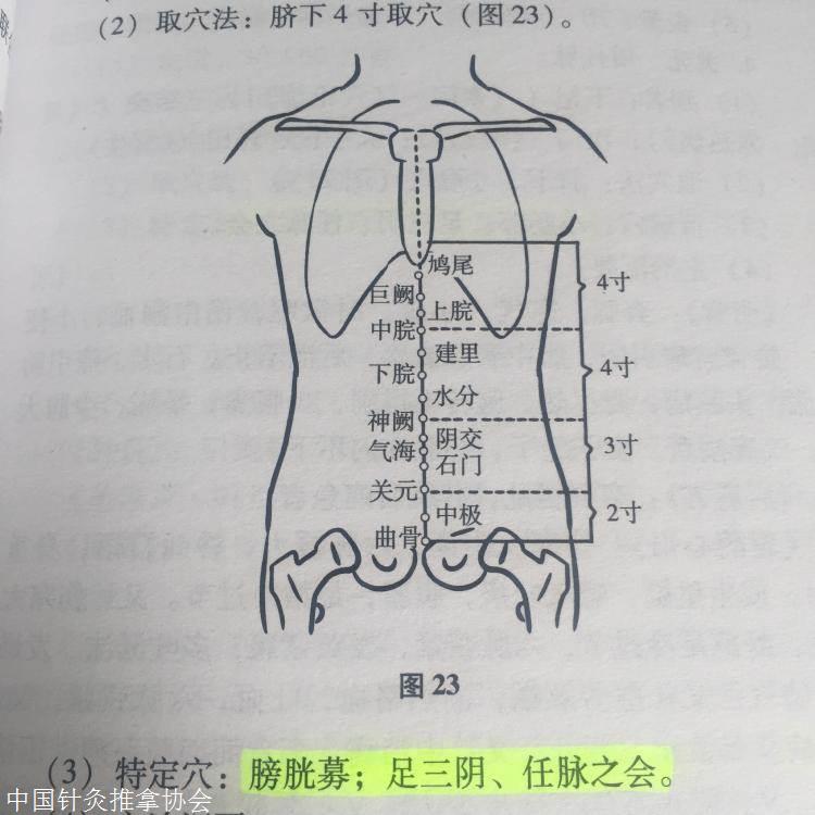 李松芝腹针培训