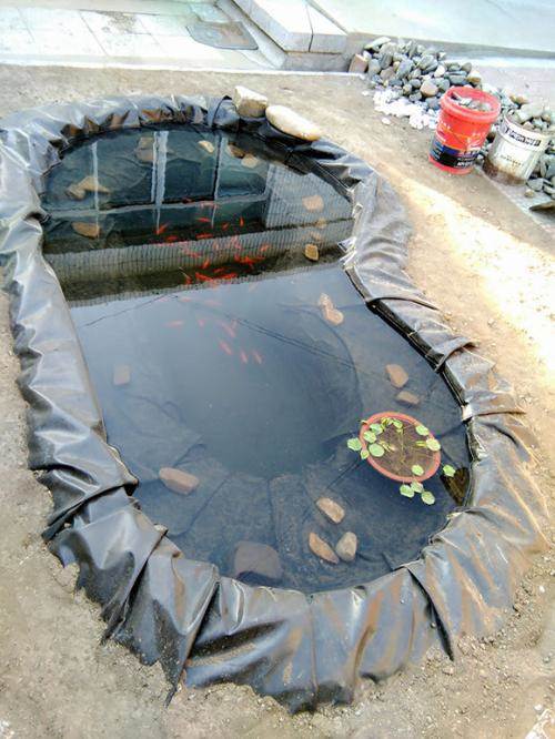 通州蓄水池防渗膜 人工湖防渗膜厂家价格直销