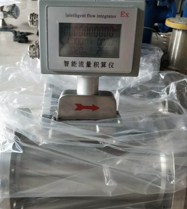 高品质DN20天然气流量计 DN20小口径天然气流量计