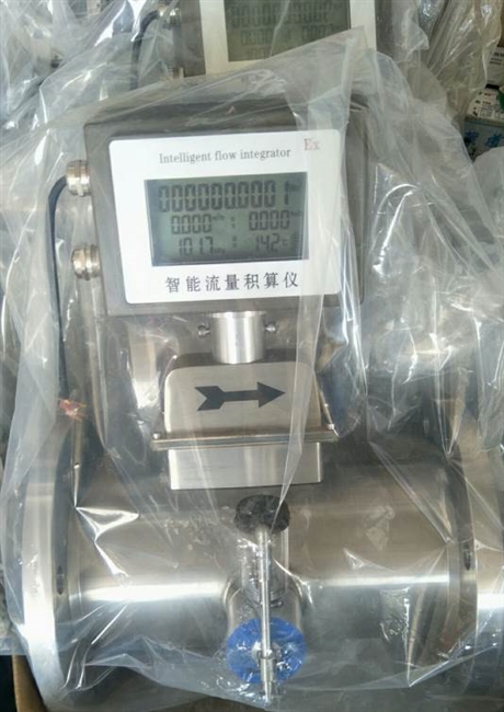 DN25智能气体涡轮流量计