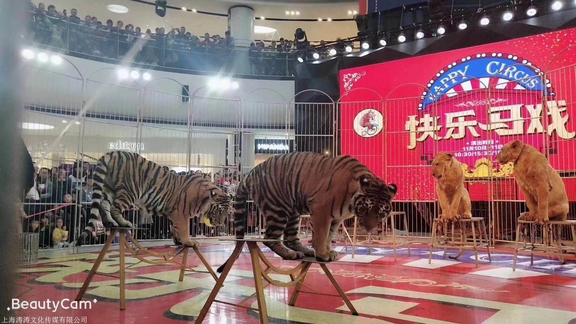 皇家马戏团表演出租河南济源资源