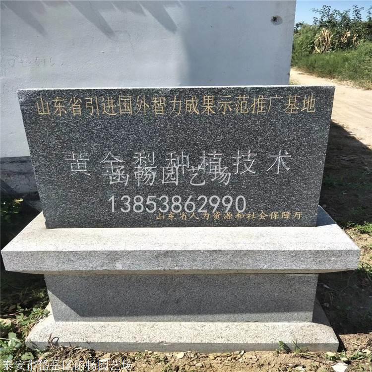 Ĺ 750_750