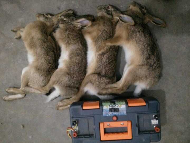 捕猎机厂家销售价格 全新升级捕猎工具