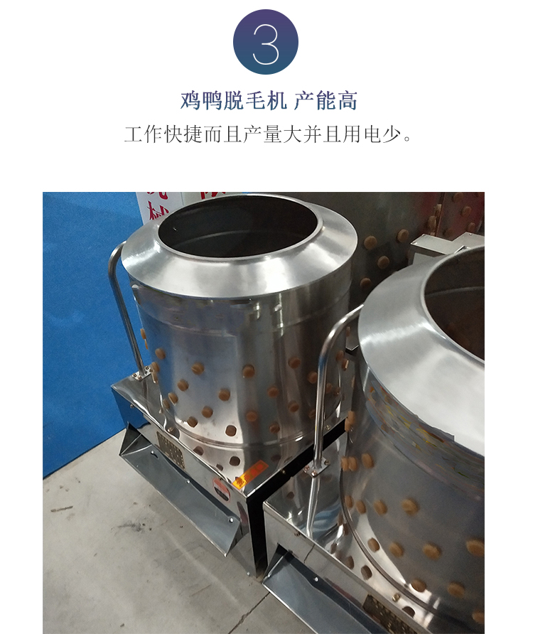 上海市电动滚筒拔毛机商用