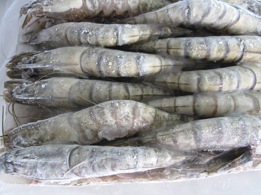 俄罗斯冰冻海鲜流程是什么