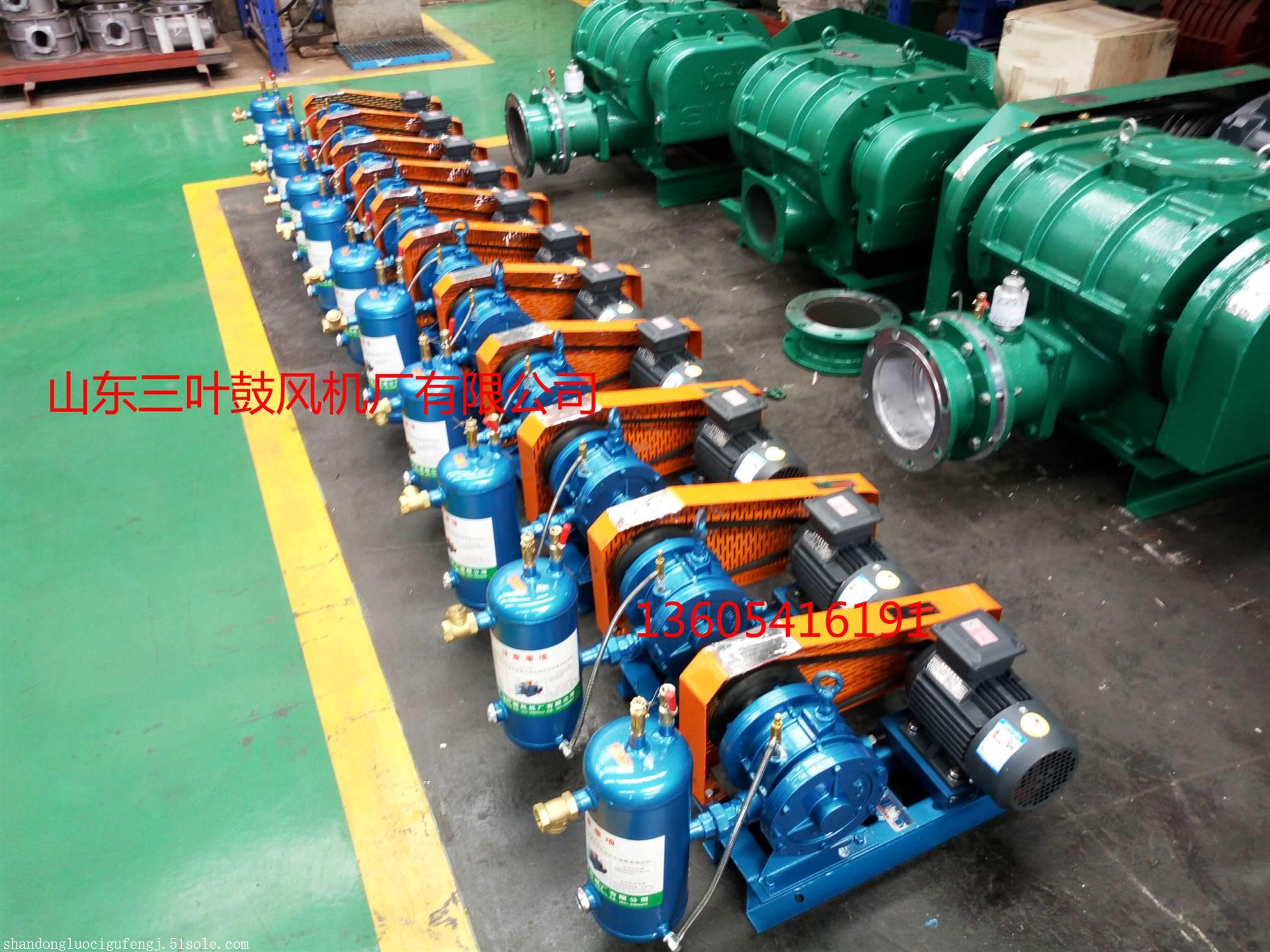 回转式鼓风机工作原理 天然气增压泵厂家
