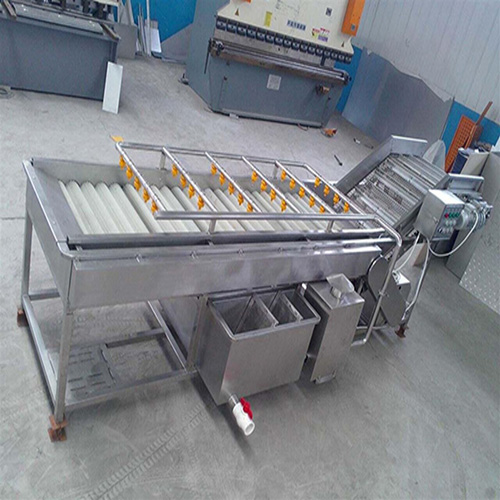 大枣气泡清洗机厂家直销 大型红枣清洗机