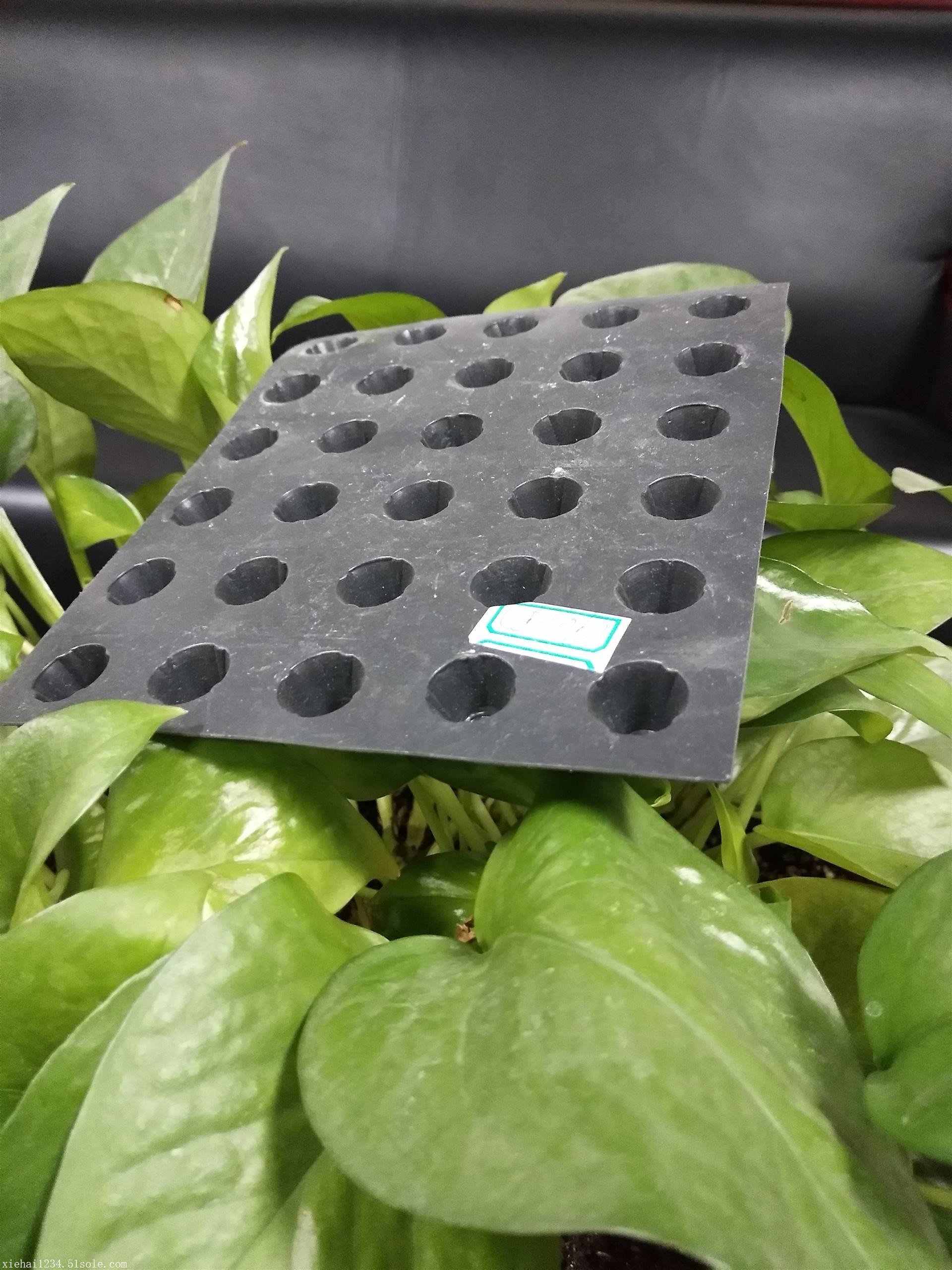 车库阻根蓄排水板