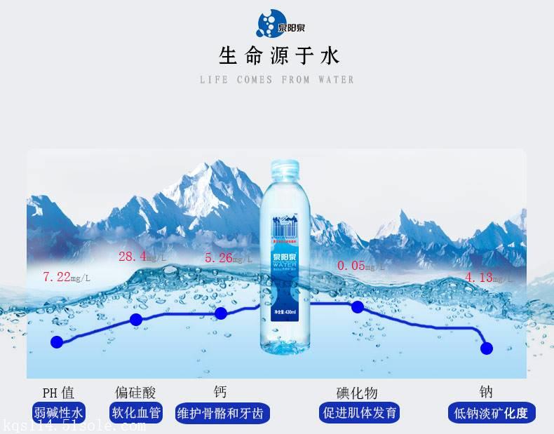 供应 长白山430ml泉阳泉天然矿泉水