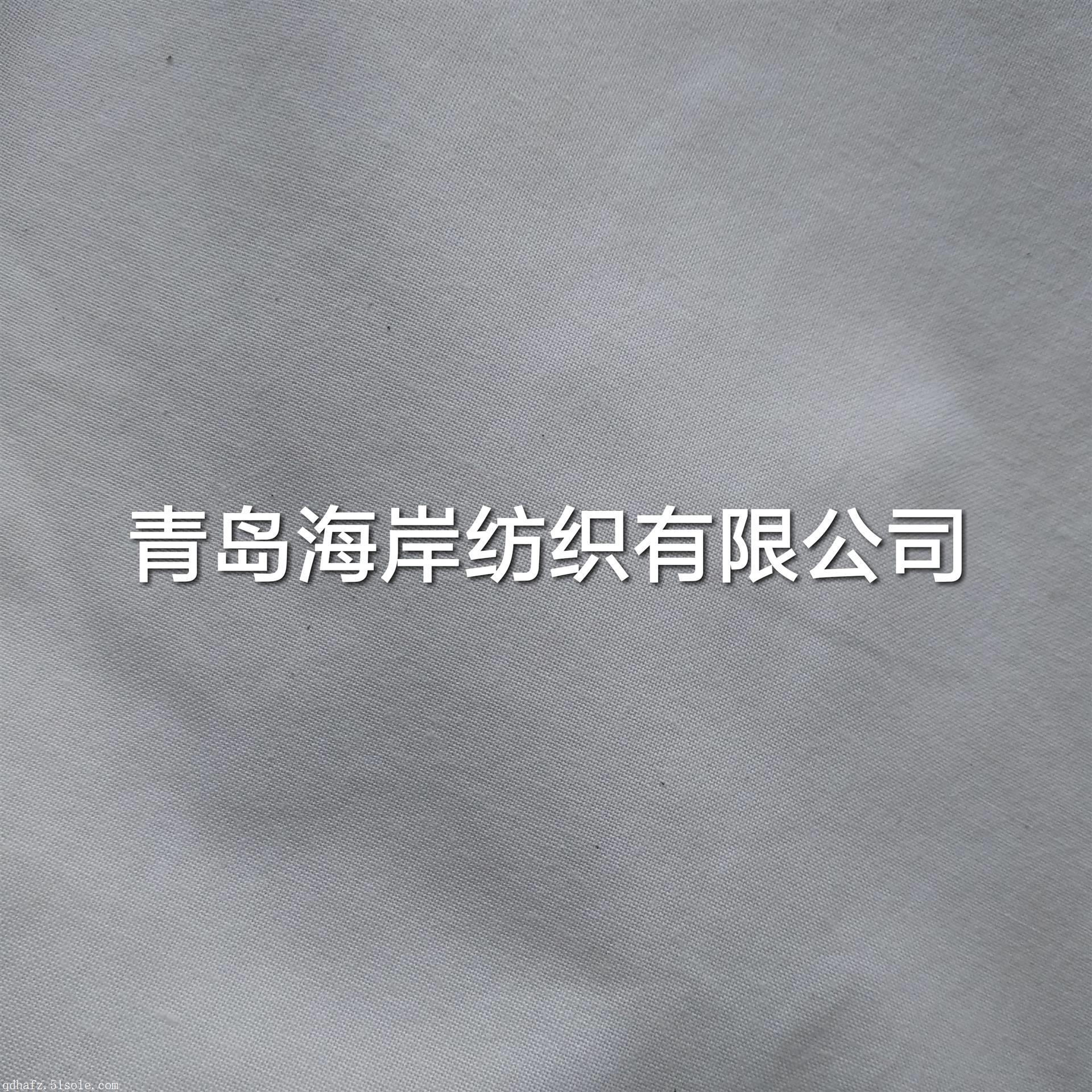滌棉坯布T/C80/20 21X21 60X60 160cm