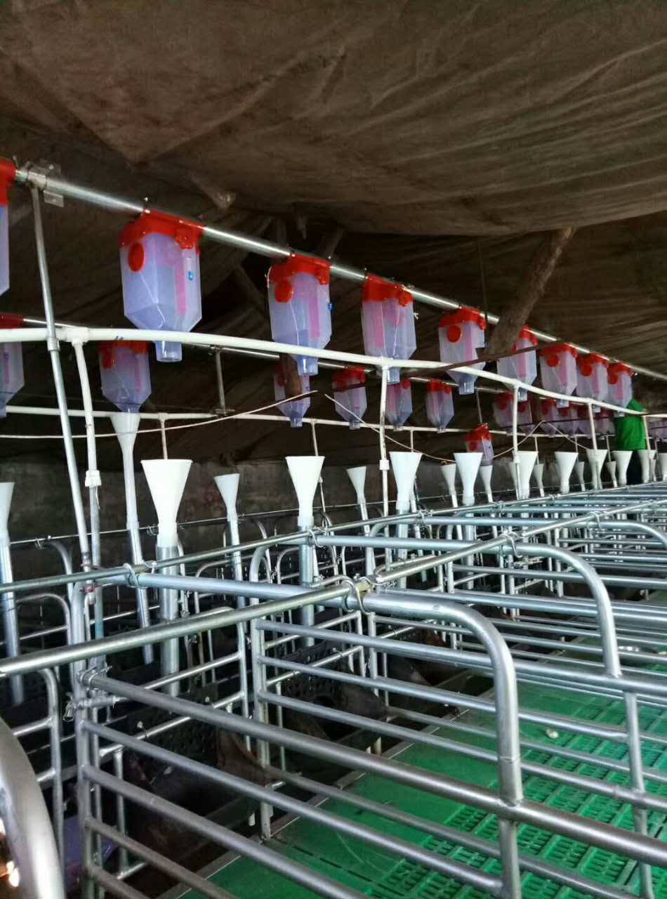 首页 泊头市福宇养猪设备有限公司 > 产品 自动化料线设备的优点及