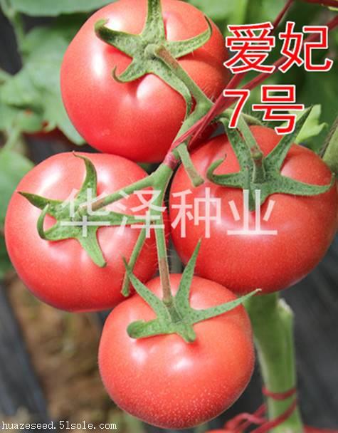 搜了网为您找到69条荷兰7的相关产品参数信息