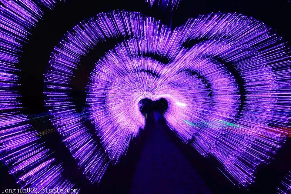 led灯光的优点梦幻灯光节出租