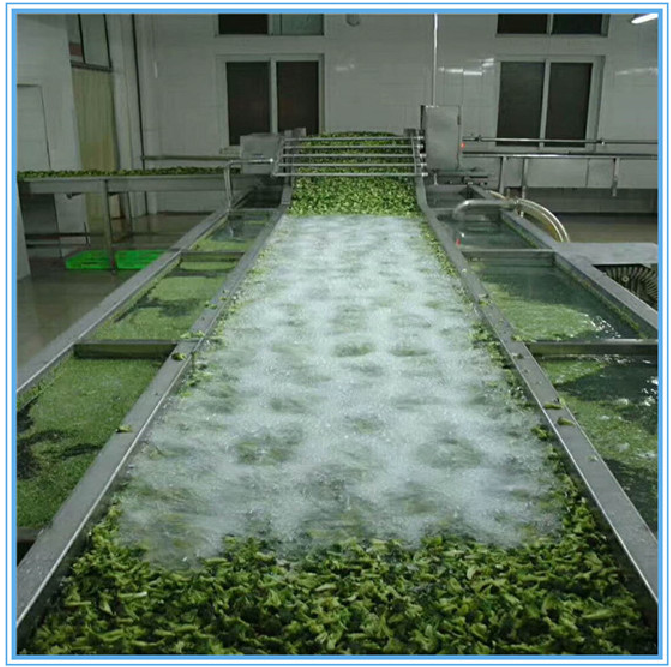 全自动净菜加工流水线 日通果蔬去农残清洗