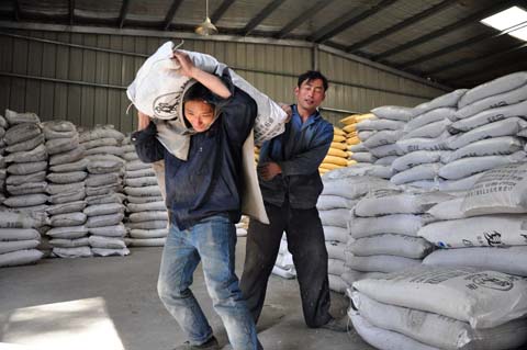 重庆营养土腐植土有机土泥碳土轻质土花卉土