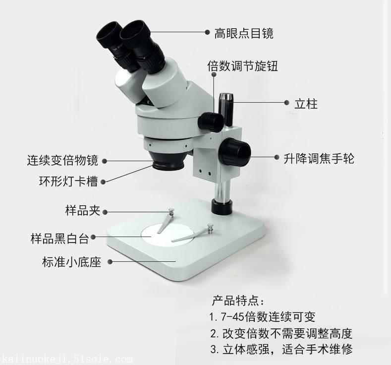 公司图片