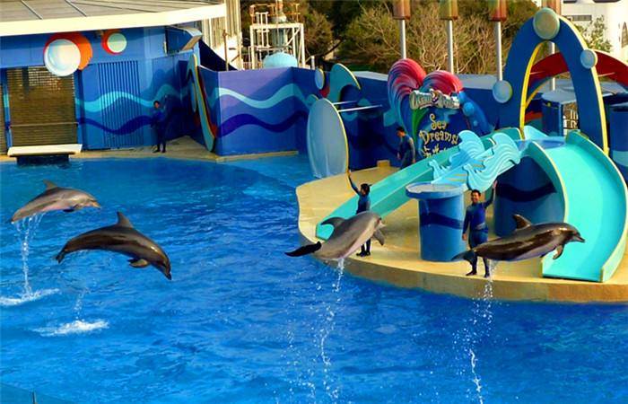 东莞市远大海洋生物科技有限公司 产品展厅 >海洋生物展,海洋生物花园