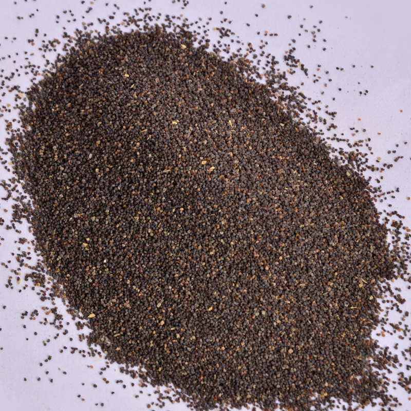 人参种子市场价