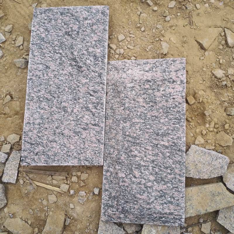 公司图片(100张)