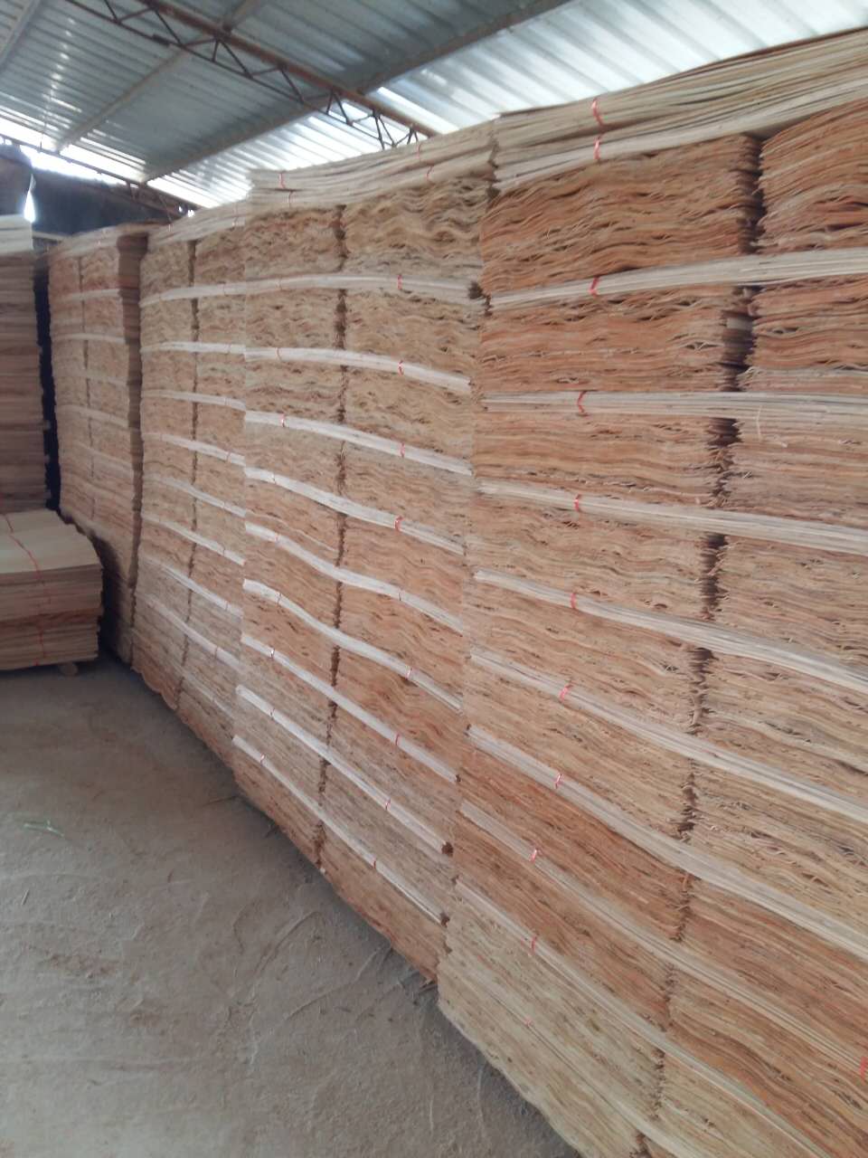 广西鲁安供应桉木单板