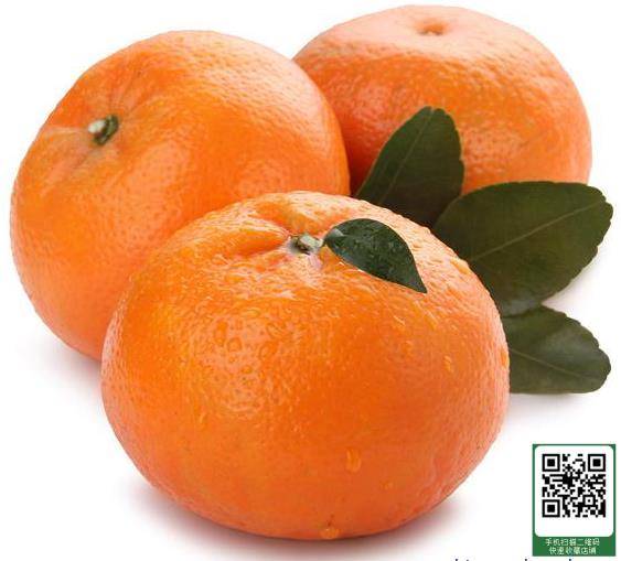 扬州水果批发,百香果,沃柑,茂谷柑批发找广西山山秀果