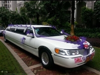 广州增城租婚车9.8米加长林肯主婚车多少钱一天|广州婚庆租车