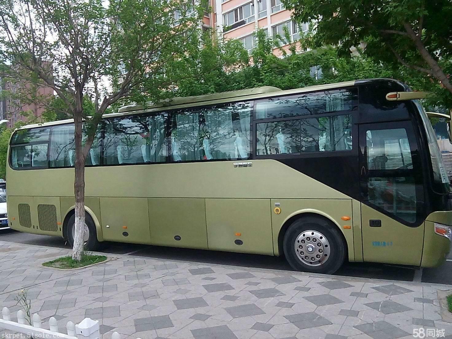 大巴車膠州到饒平汽車時刻表查詢